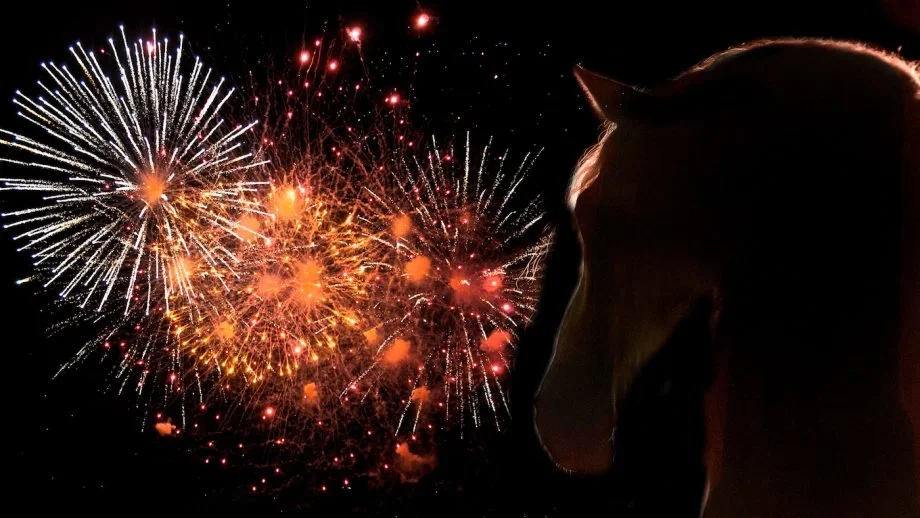 New Year’s Eve and Day