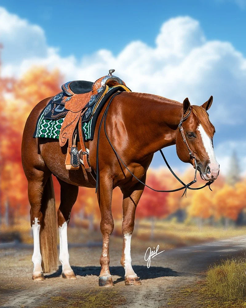 Pioneer Equine Hospital standing stallion for semen collection and breeding. 