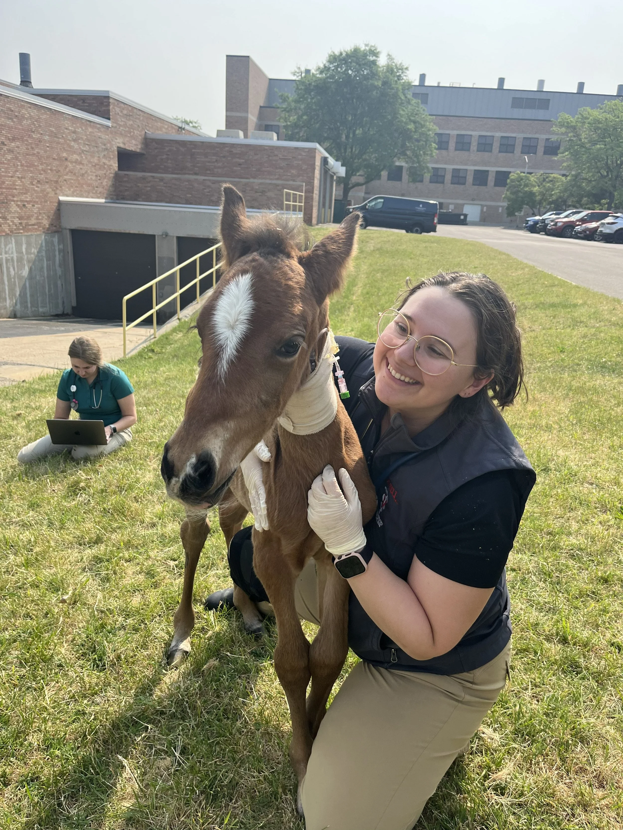 A woman kneeling on grass holding a young foal with a white star-shaped marking on its forehead. The woman is smiling and wearing glasses, gloves, and a dark vest. In the background, another woman is seated on the grass using a laptop, with a buildin