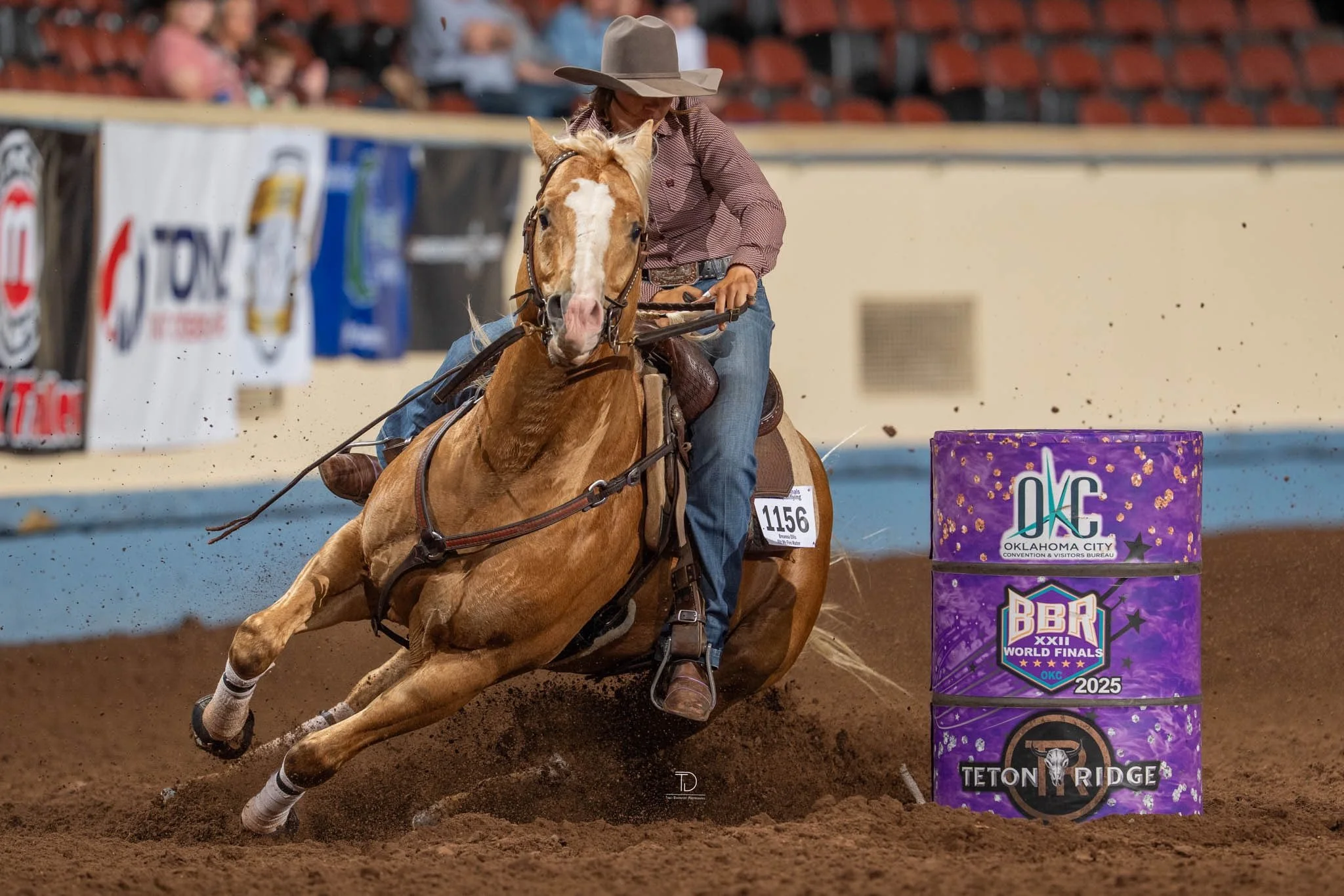 A horse standing in a field during sunset, with the sun glowing behind it, creating a silhouette effect.