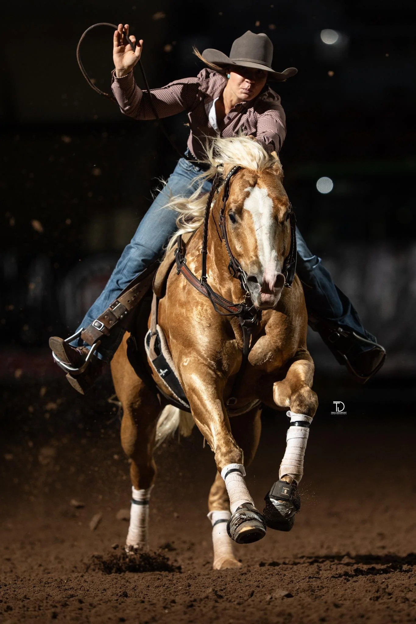 Poster for a horse stallion named Noise Complaints, with images of two horses and text listing details about their breeding, prices, and contact information.