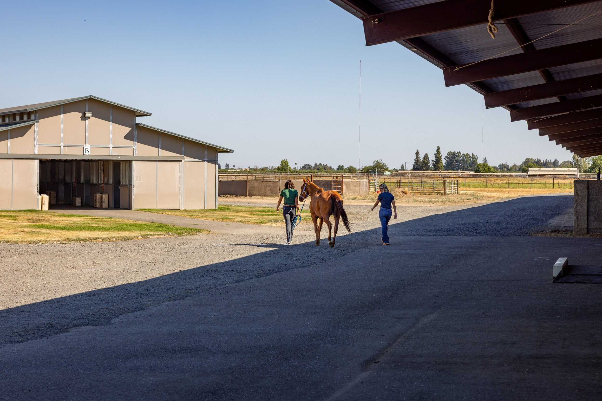 Two women walking a brown horse in a farm setting, with a metal building on the left and open fields in the background.