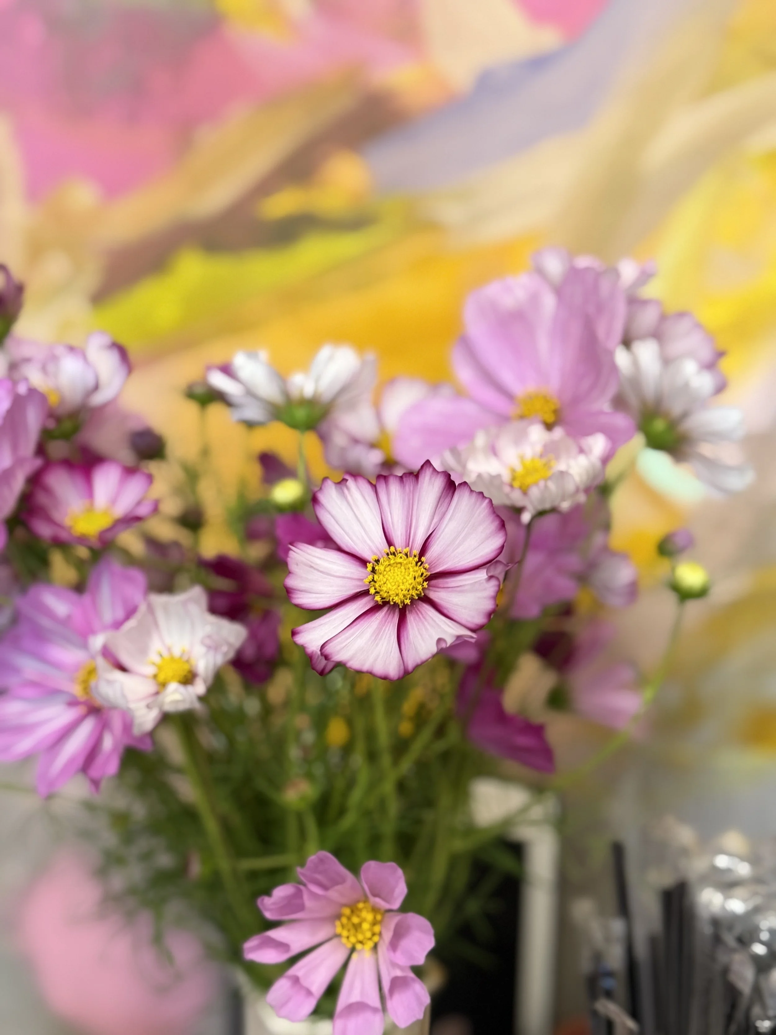 Close-up image of pink and purple flowers with yellow centers, with a blurred background.