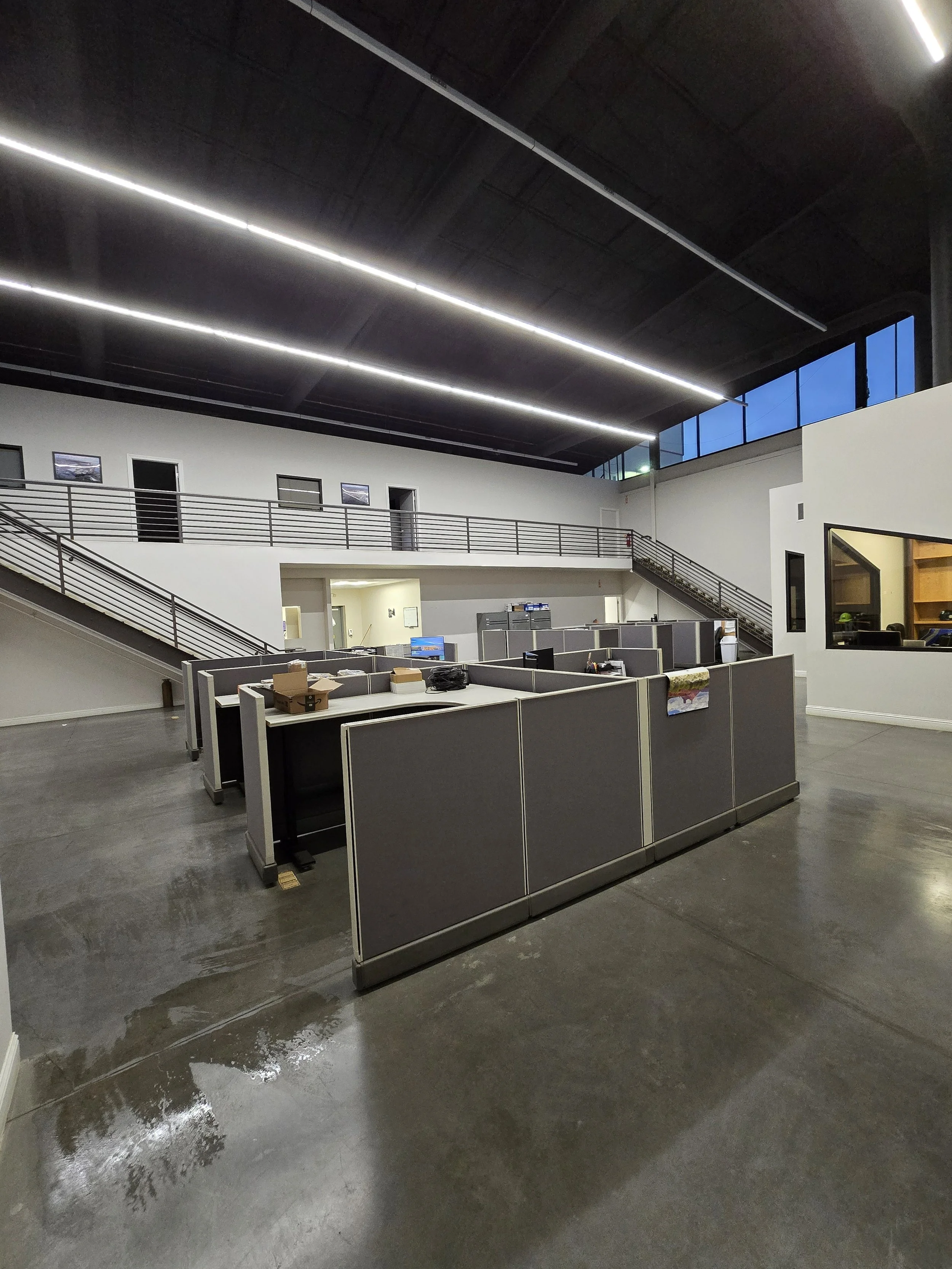 Professional Cleaning Service