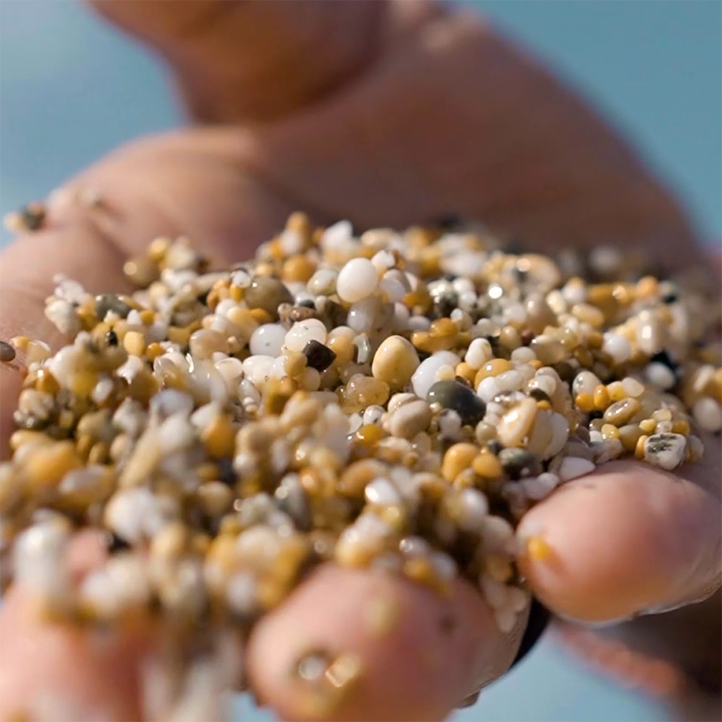 SEASALT CORNWALL | Social