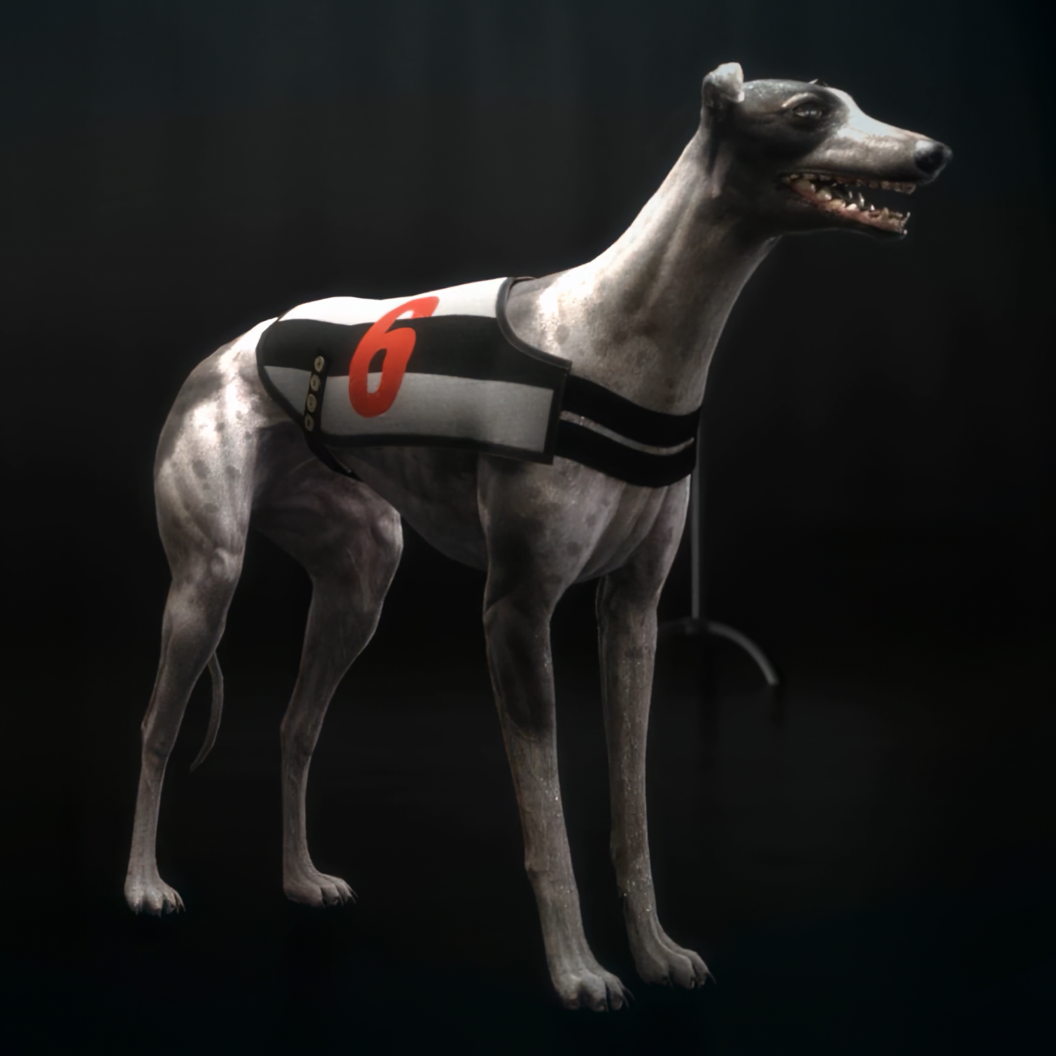 PLAYTECH | Virtual Greyhounds RT