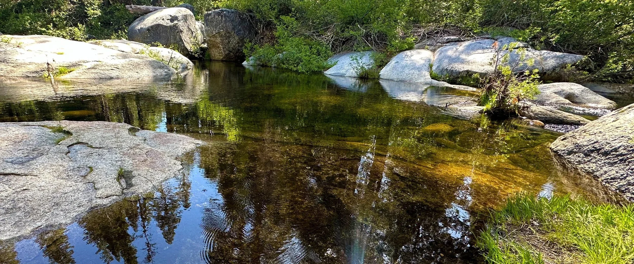 A clear creek flowing over rocks with green bushes and trees in the background.