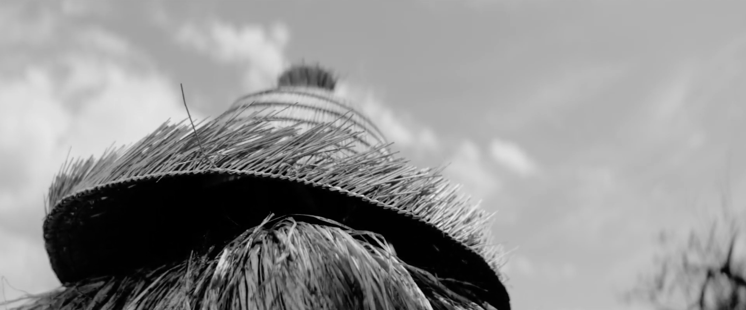 Screenshot 2025-06-06 at 7.37.09 PM.png