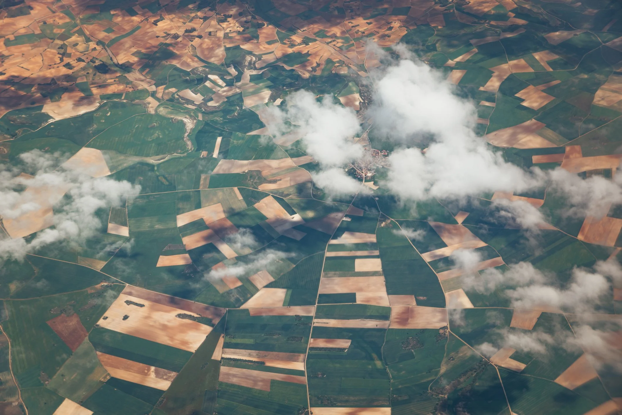 Satellite Crop Monitoring: How Agrograph Turns Images into Actionable Intelligence</span>