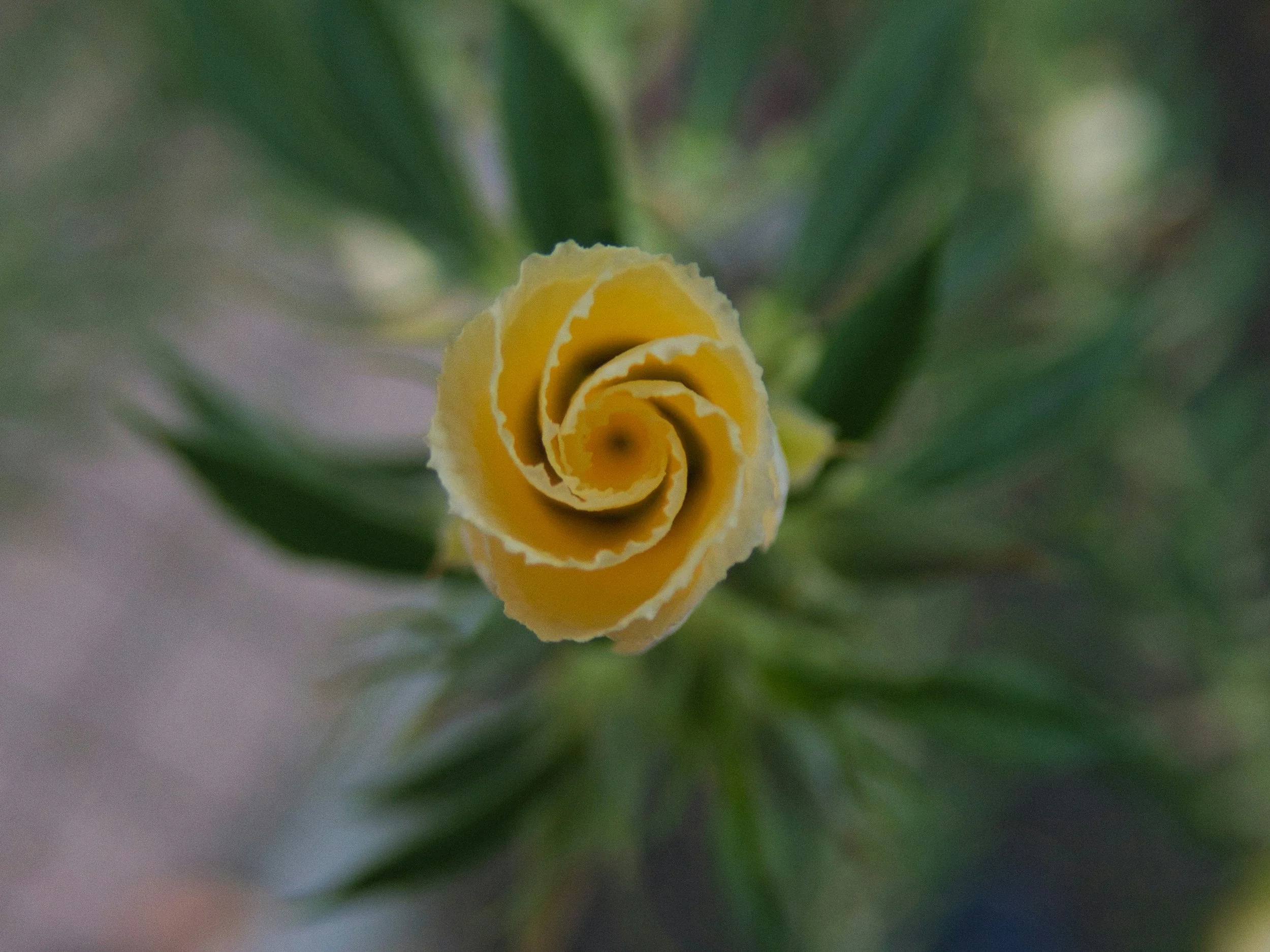 Finding Strength in Vulnerability