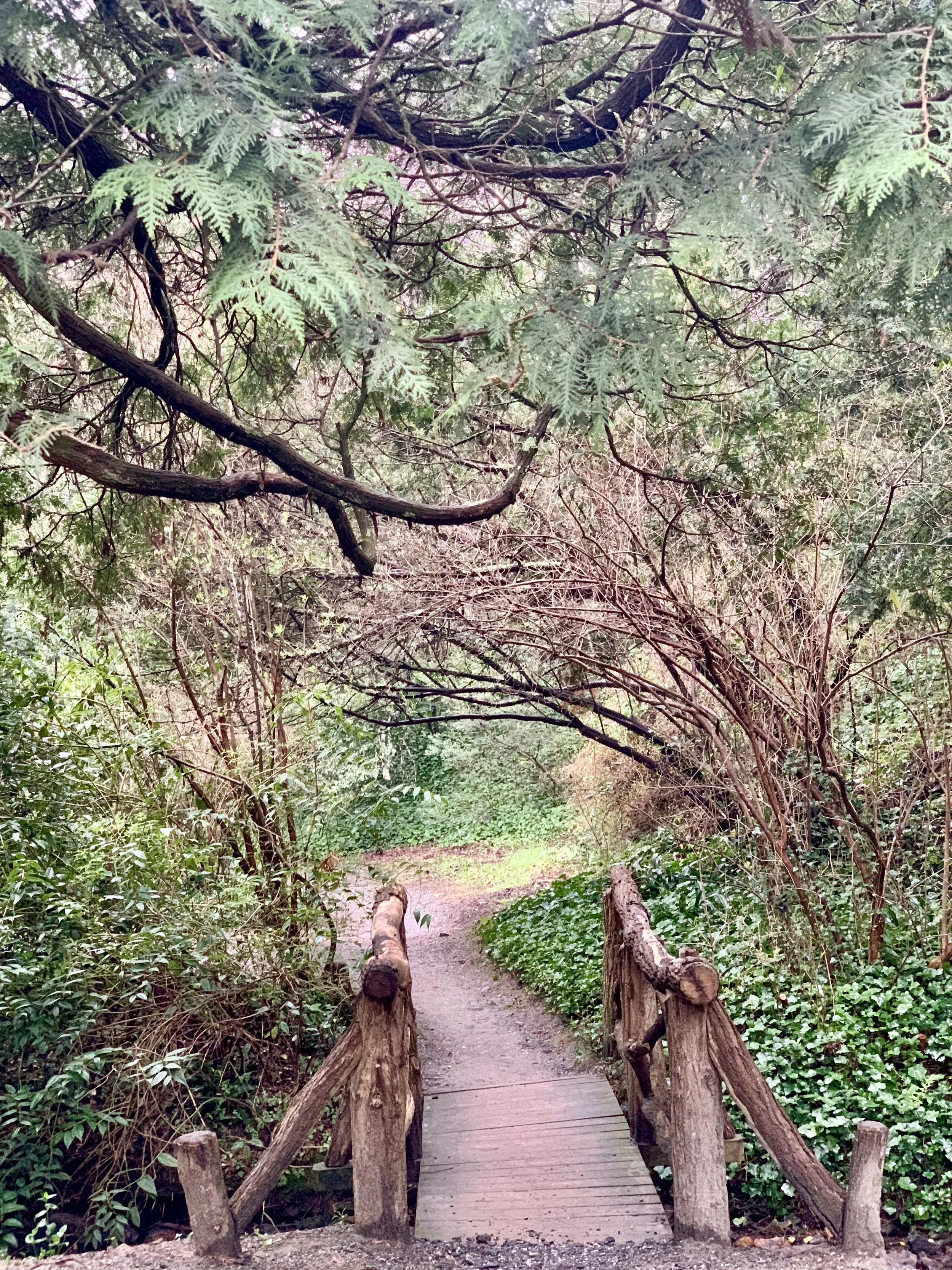 Which Way to Happiness?