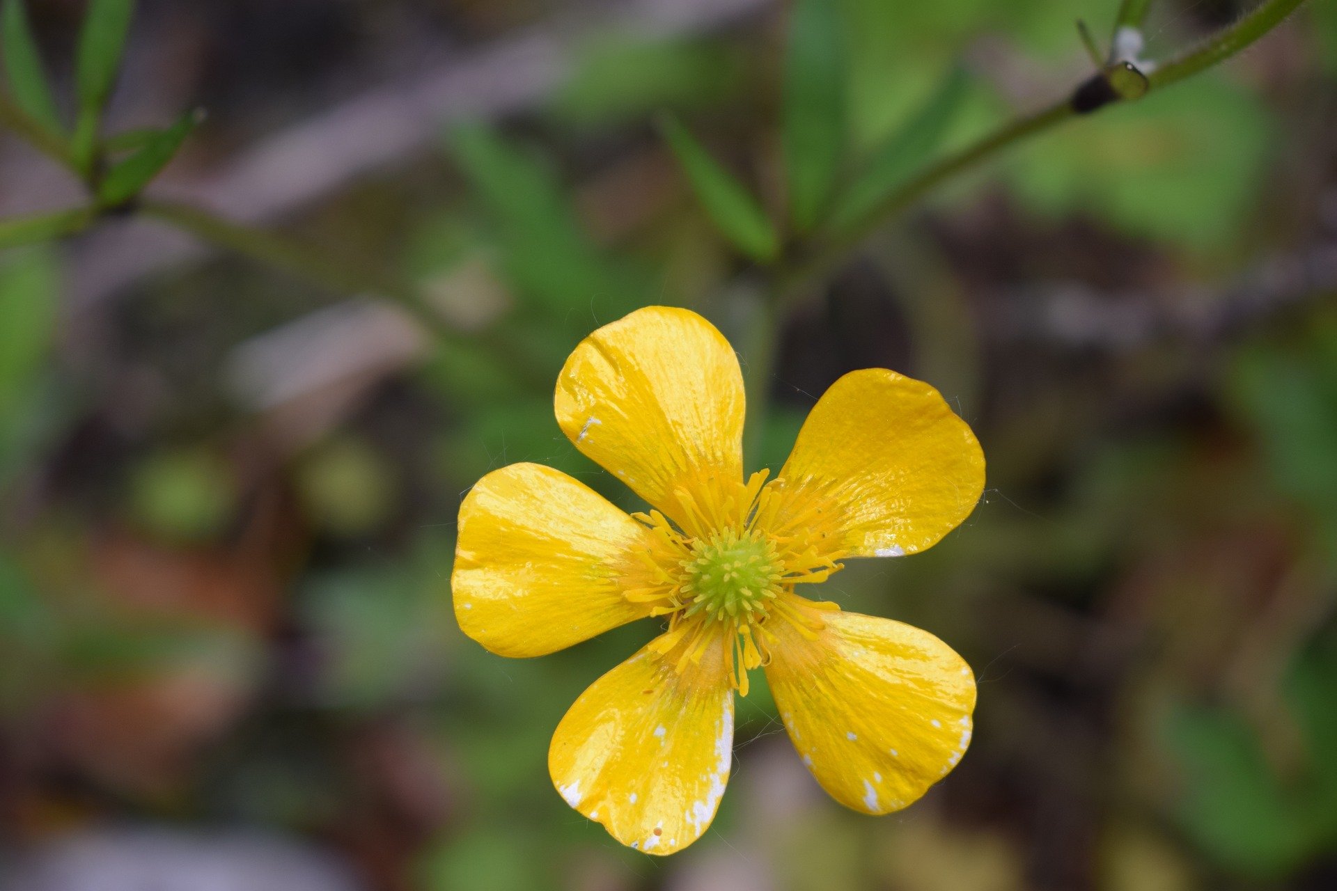 Spring Cleaning For Your Soul