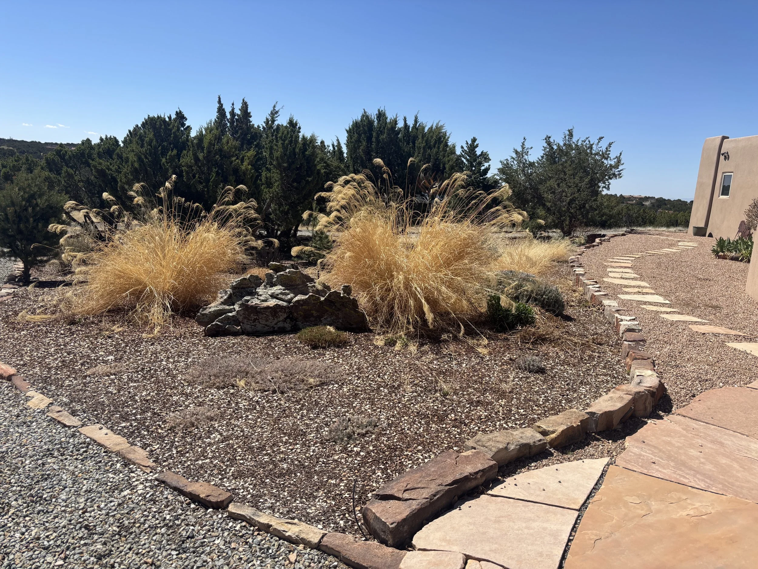 In the late fall and early winter in Santa Fe, you can leave the grasses for winter interest or trim them to the ground. Every few years divide clumps that die out in the middle.