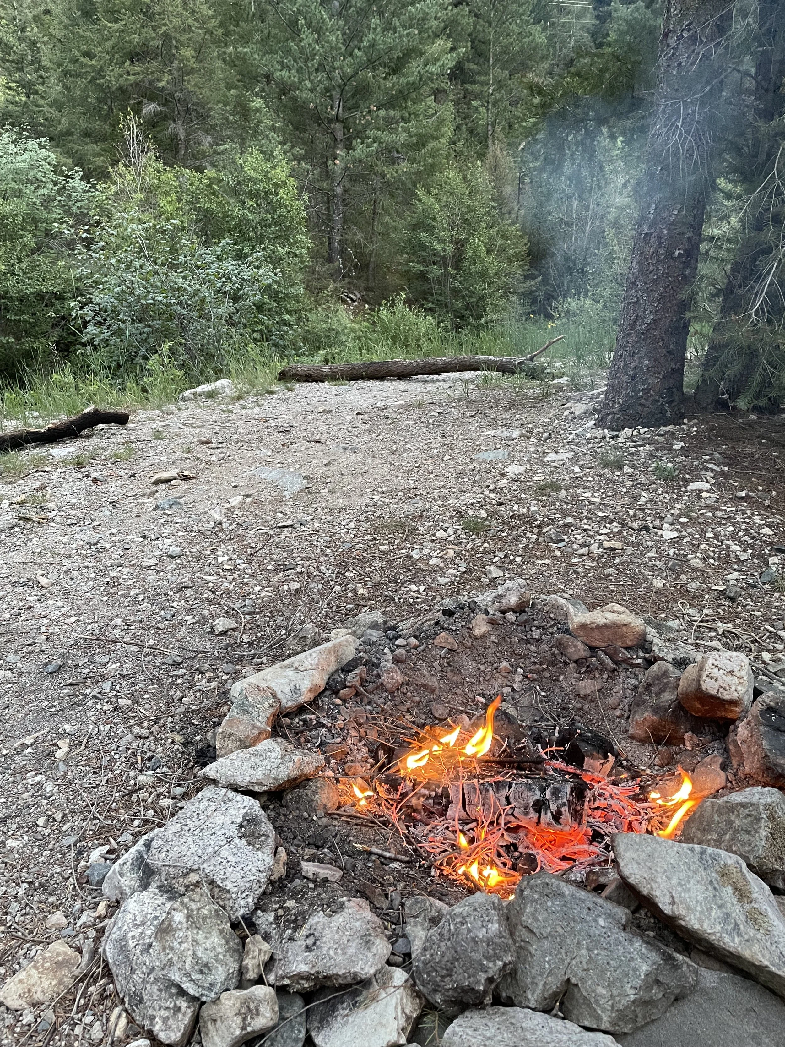 Ecological Identity: From Toxicity to Health