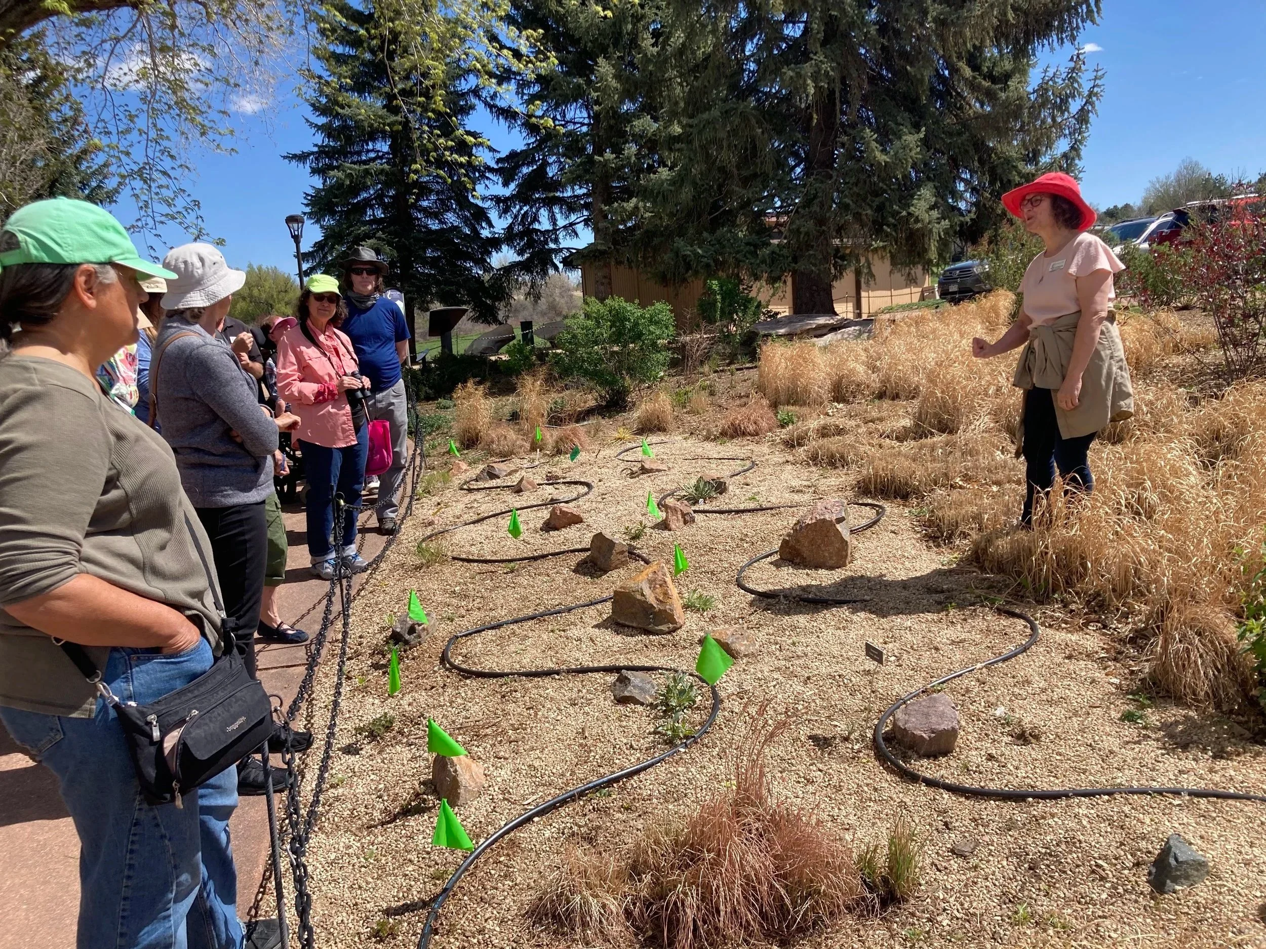 Terra gives a talk to the Wild Ones, stopping at the new installation of the Colorado succulent and natives garden.