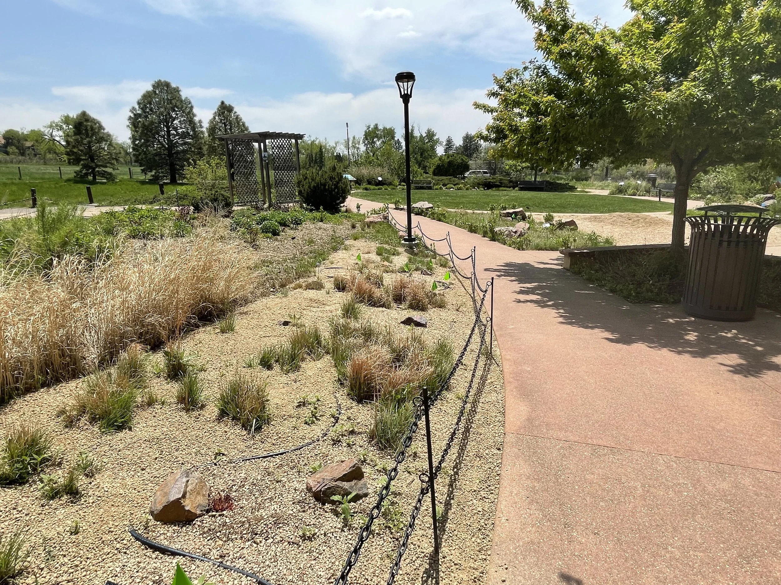 The first year of the montane rock garden. The irrigation lines still needed to be covered completely with gravel mulch