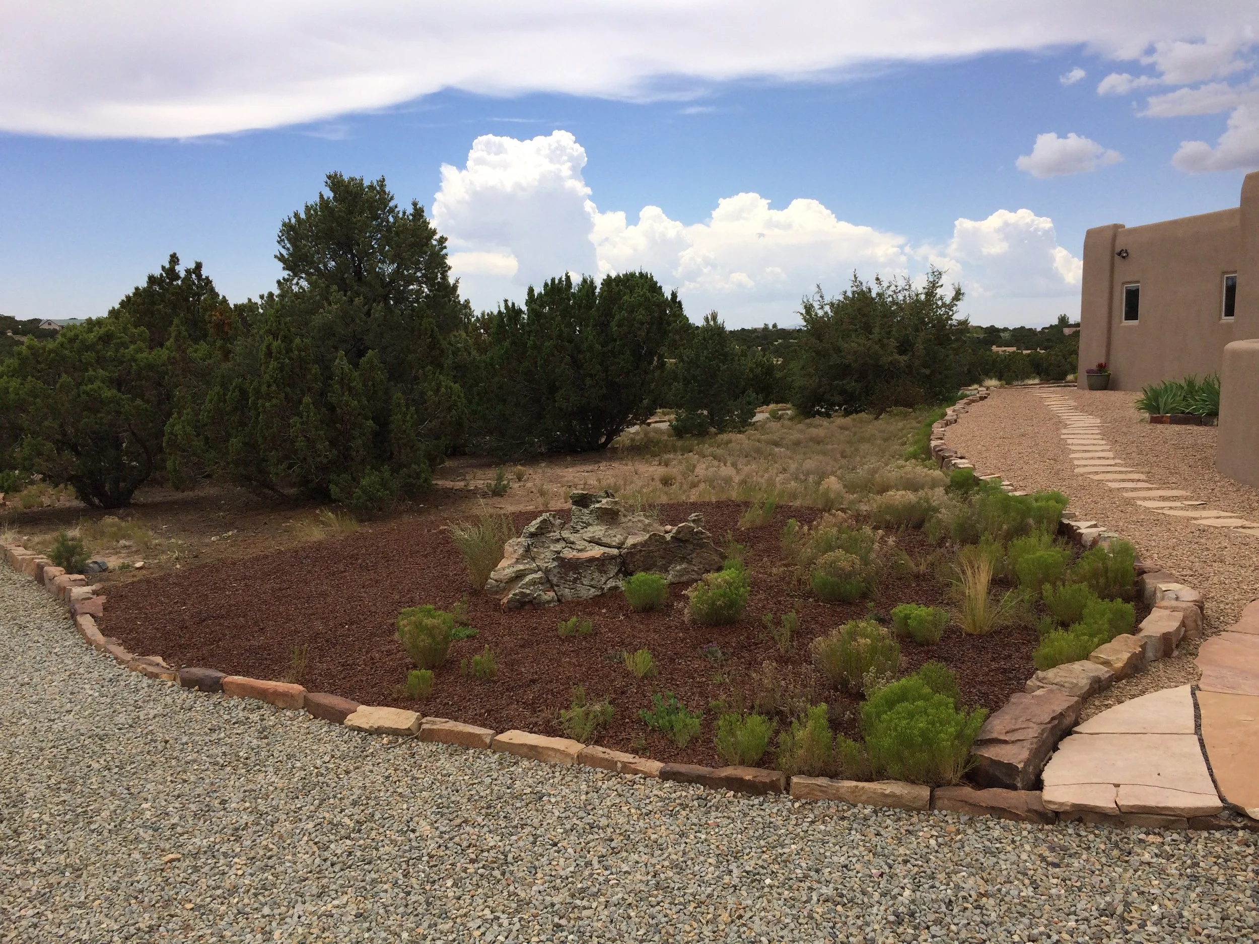 The first thing that caught my eye was the straight as a squiggle pathway that added nothing to the garden or the eyeline of the house.
The area that we were about to plant had lots of rabbit brush to the west, where the conditions were only slightly