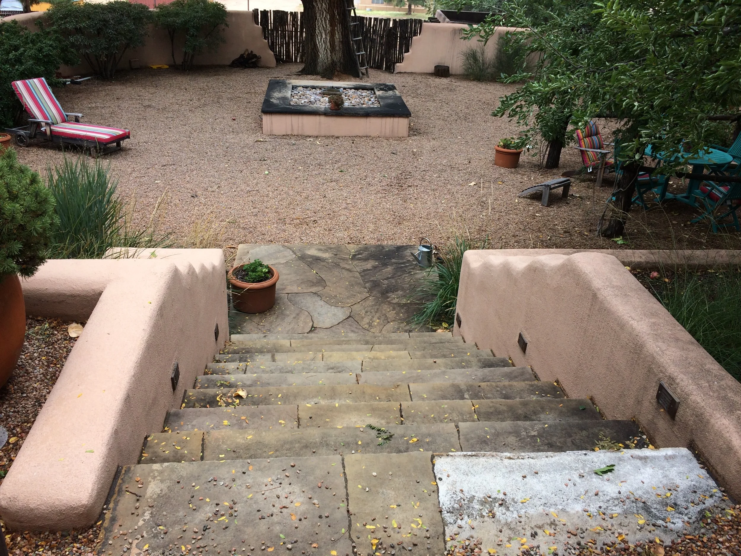 When we met this garden it was a sea of gravel with a non-functioning fountain in the middle. The elm tree at the back of the sunken courtyard was a beautiful sentinal at the south, providing dappled shade most days.