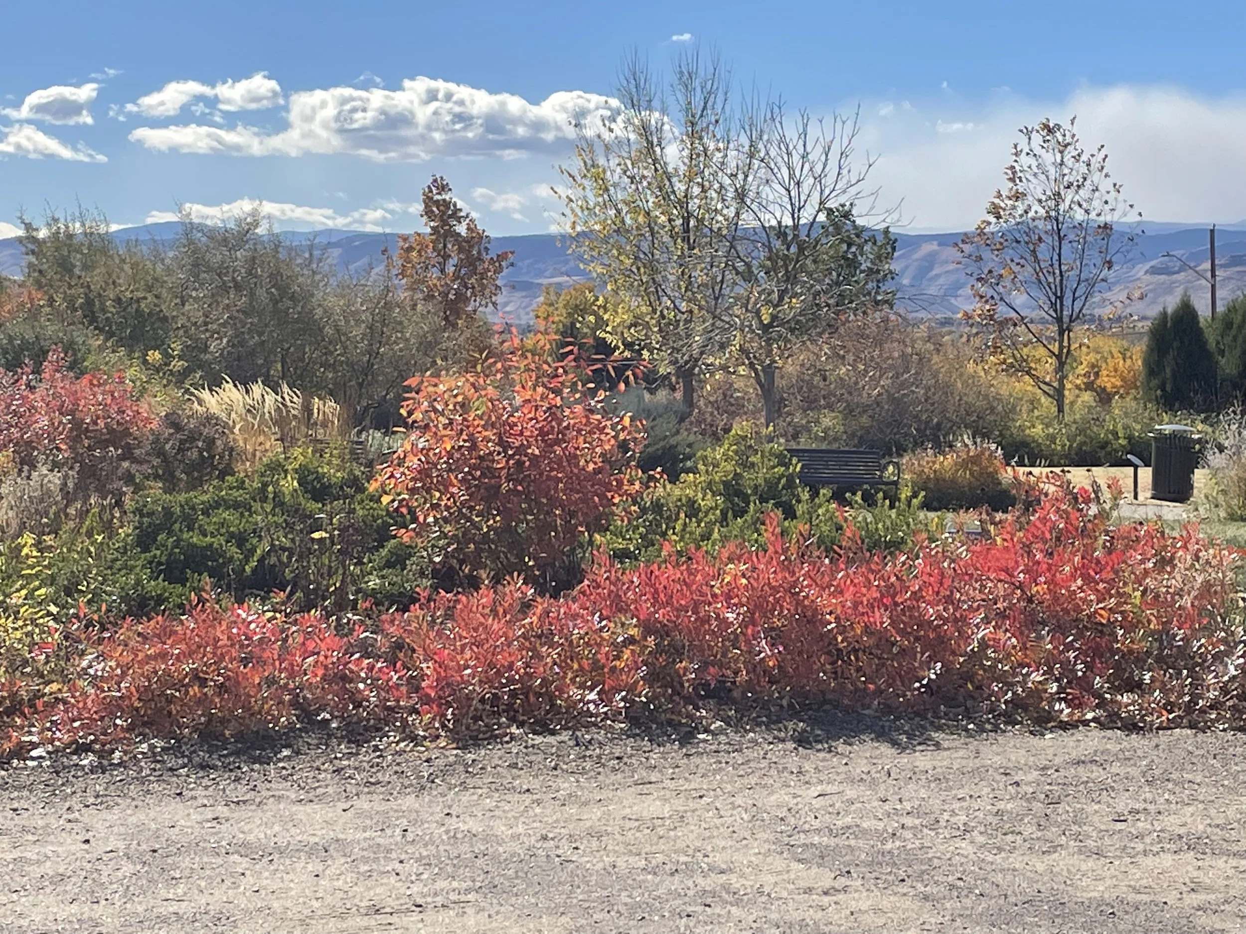 It is a "majestic view" no matter what time of year, but the gardens show off their fall colors in October. The brightest is the "Pawnee Buttes" sand cherry in the front. 