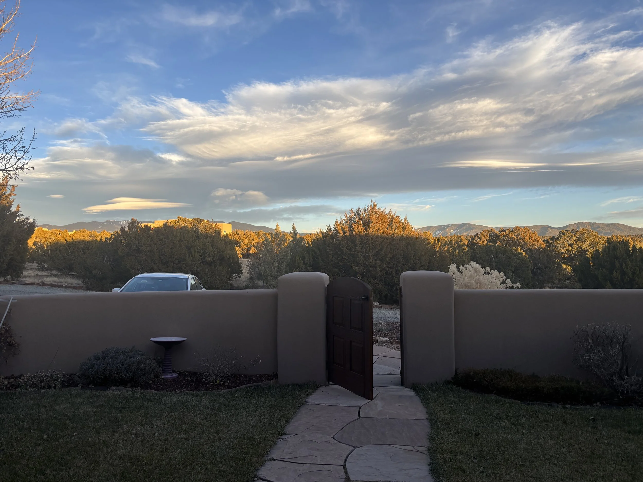 When they bought the house 10 years ago, there was no house interfering with their view of the Sangre de Christos. Arizona cypress trees (Hersperocyparis arizonica) were planted to help eventually obscure the view with the pinons and junipers.