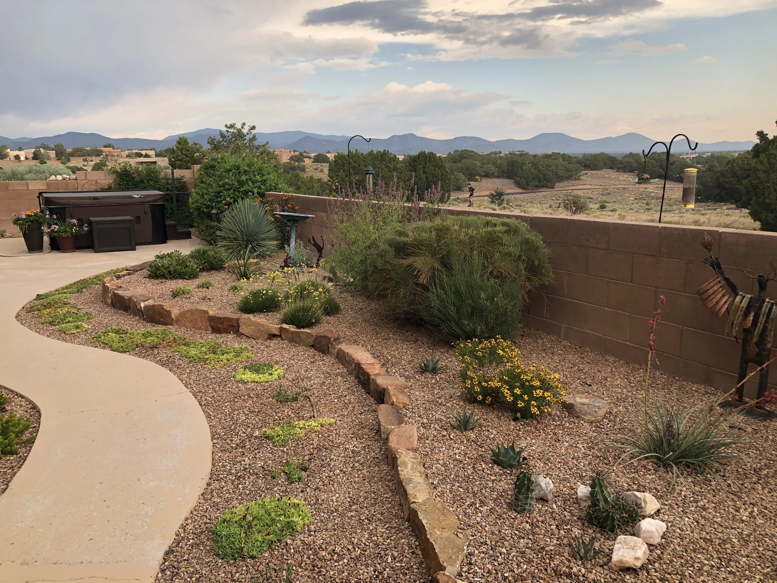 After we supplemented the soil, added irrigation and shaped the curve to mirror the walkway, the view to the west became more part of the landscape