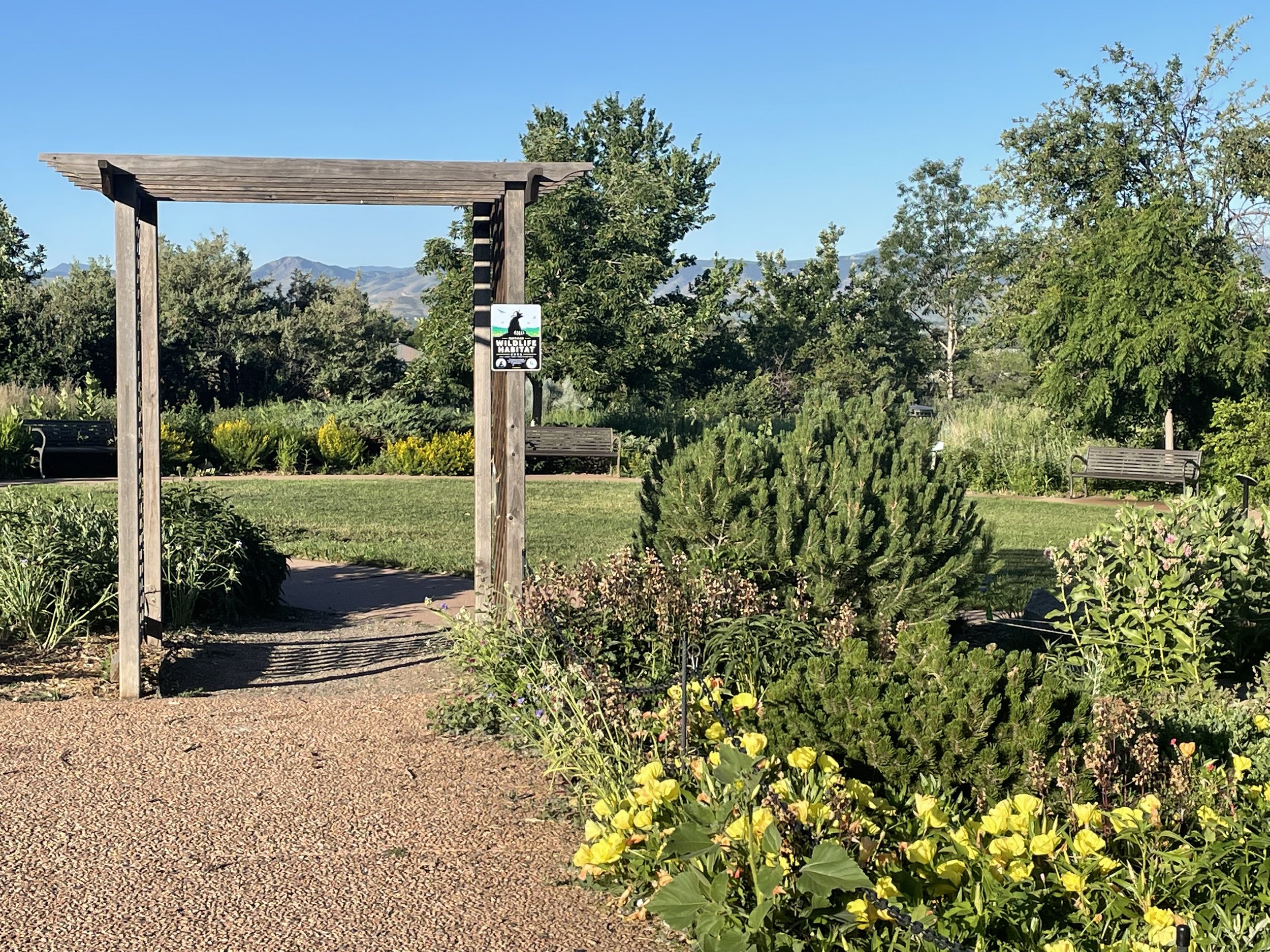 Even the view from the parking lot was "majestic" and I couldn't believe the Rocky Mountains were just in our backyard!