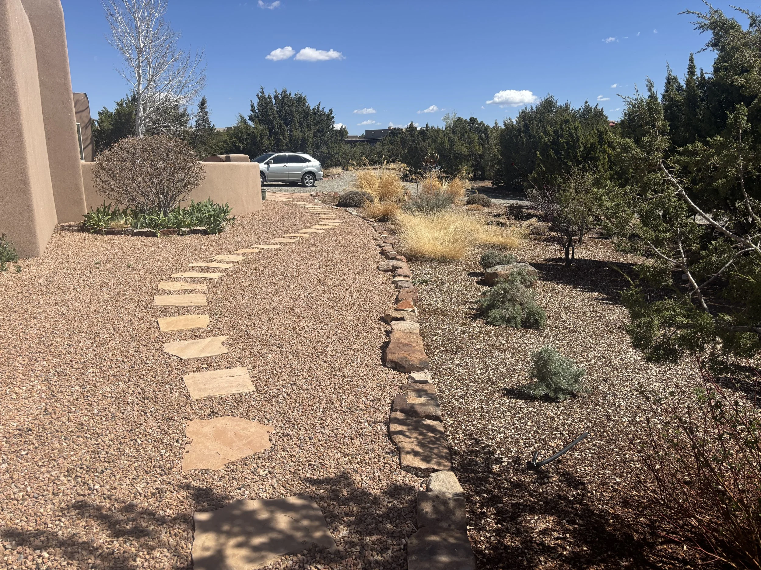 Big sage and blonde ambition blue gramma grass invite the eye during late fall.
