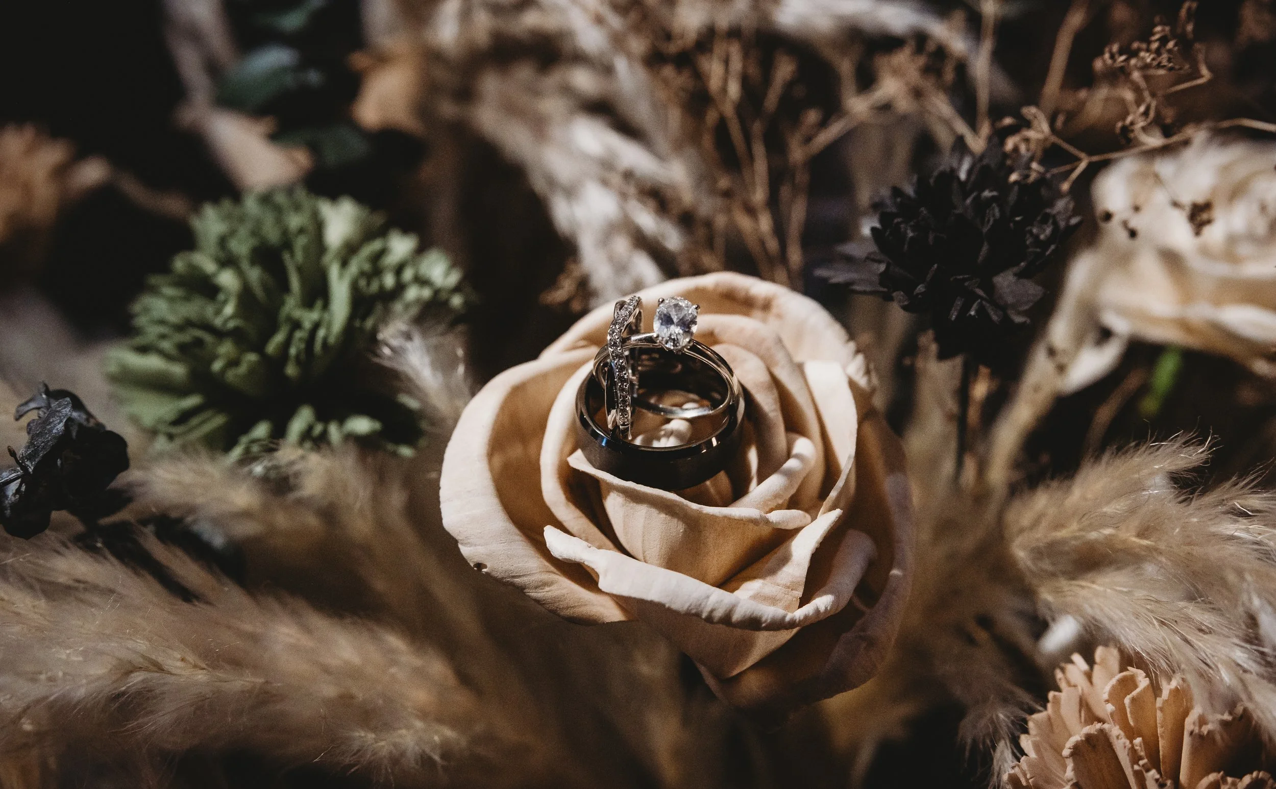 ohdeercollective-ohio-engagement-wedding-maternity-photographer-barnatrushcreek-1.jpg