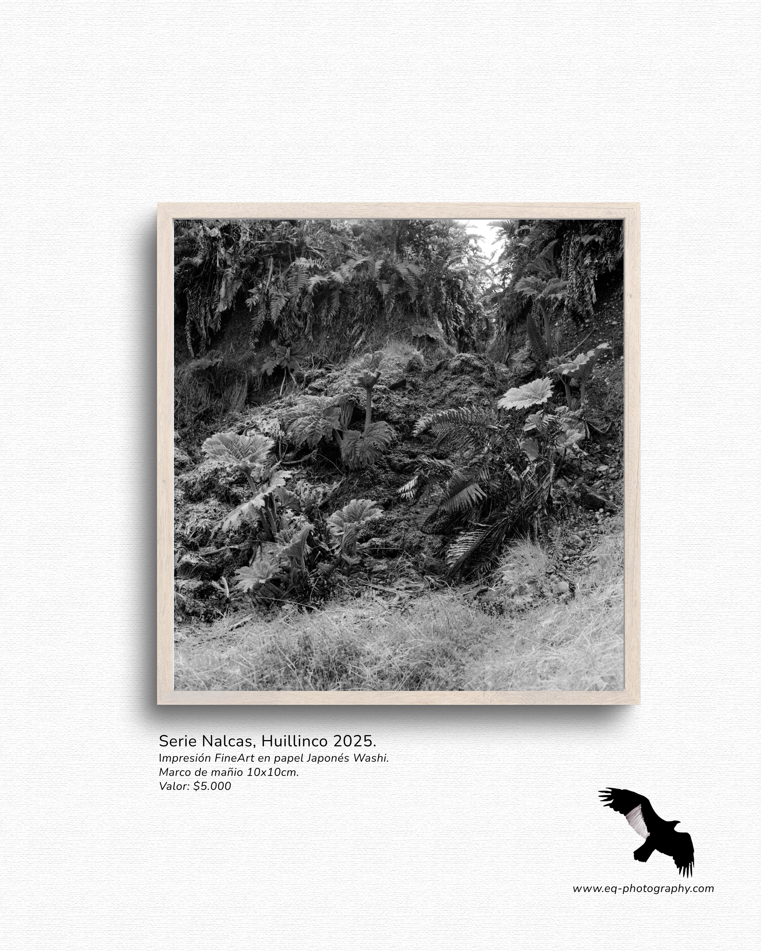 Nalca III B&W (2).png