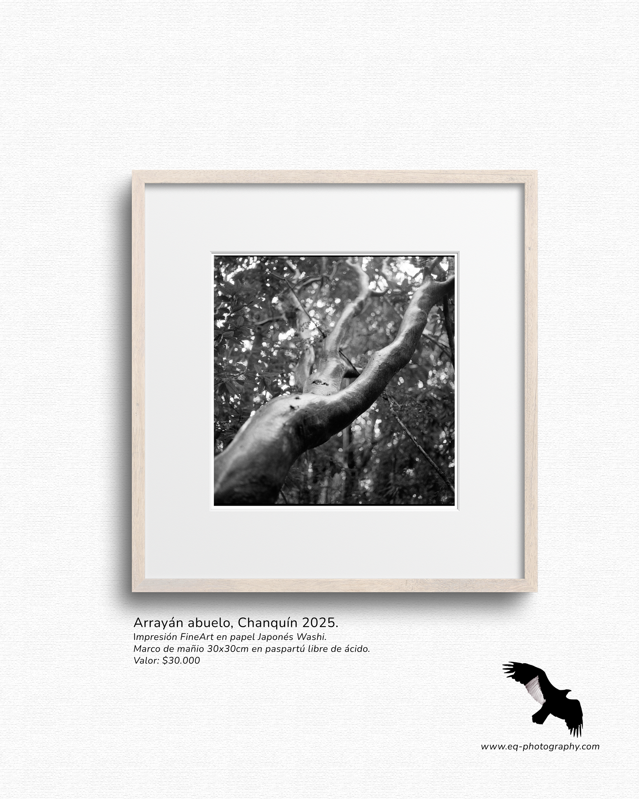 Nalca III B&W (5).png