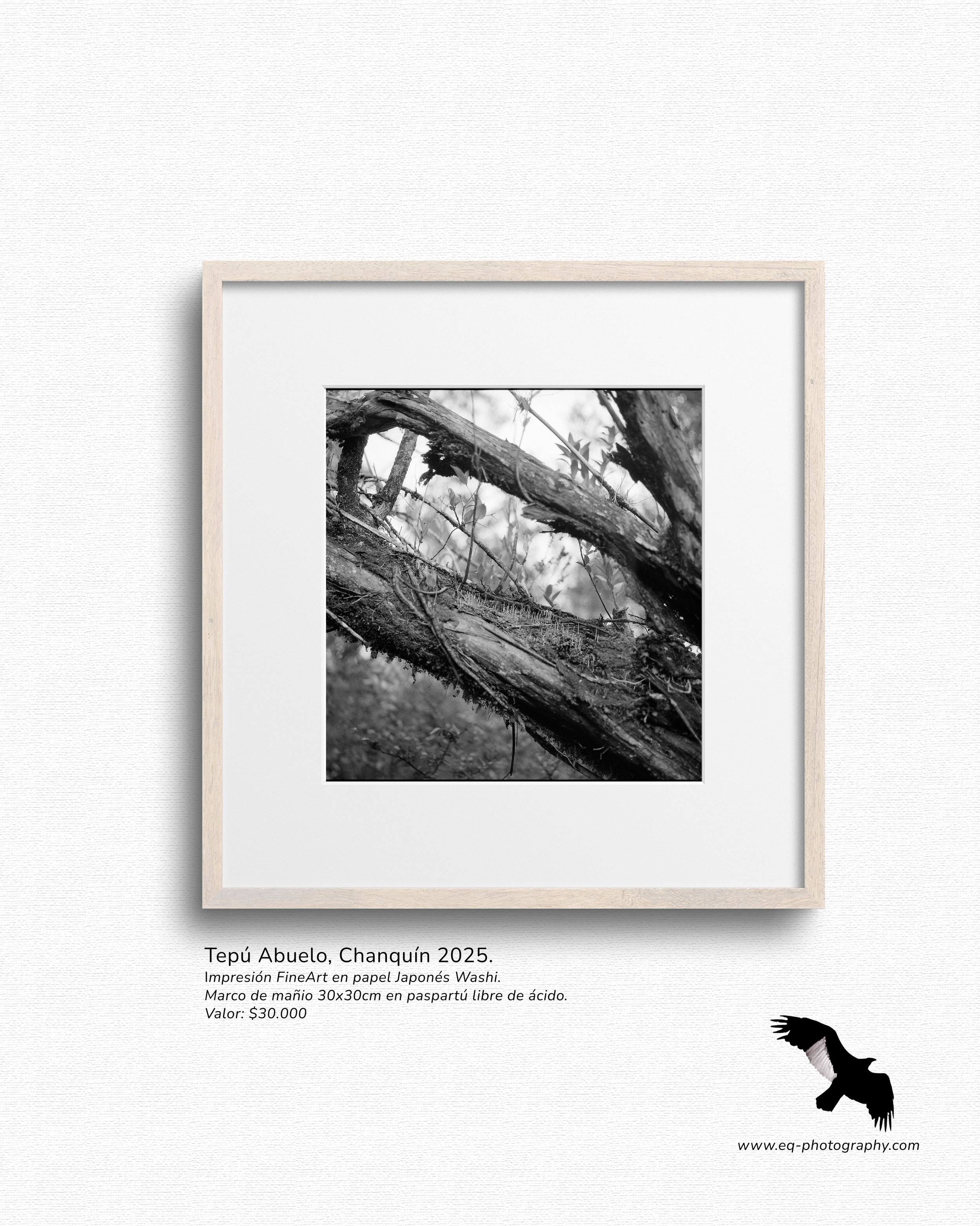 Nalca III B&W (4).png