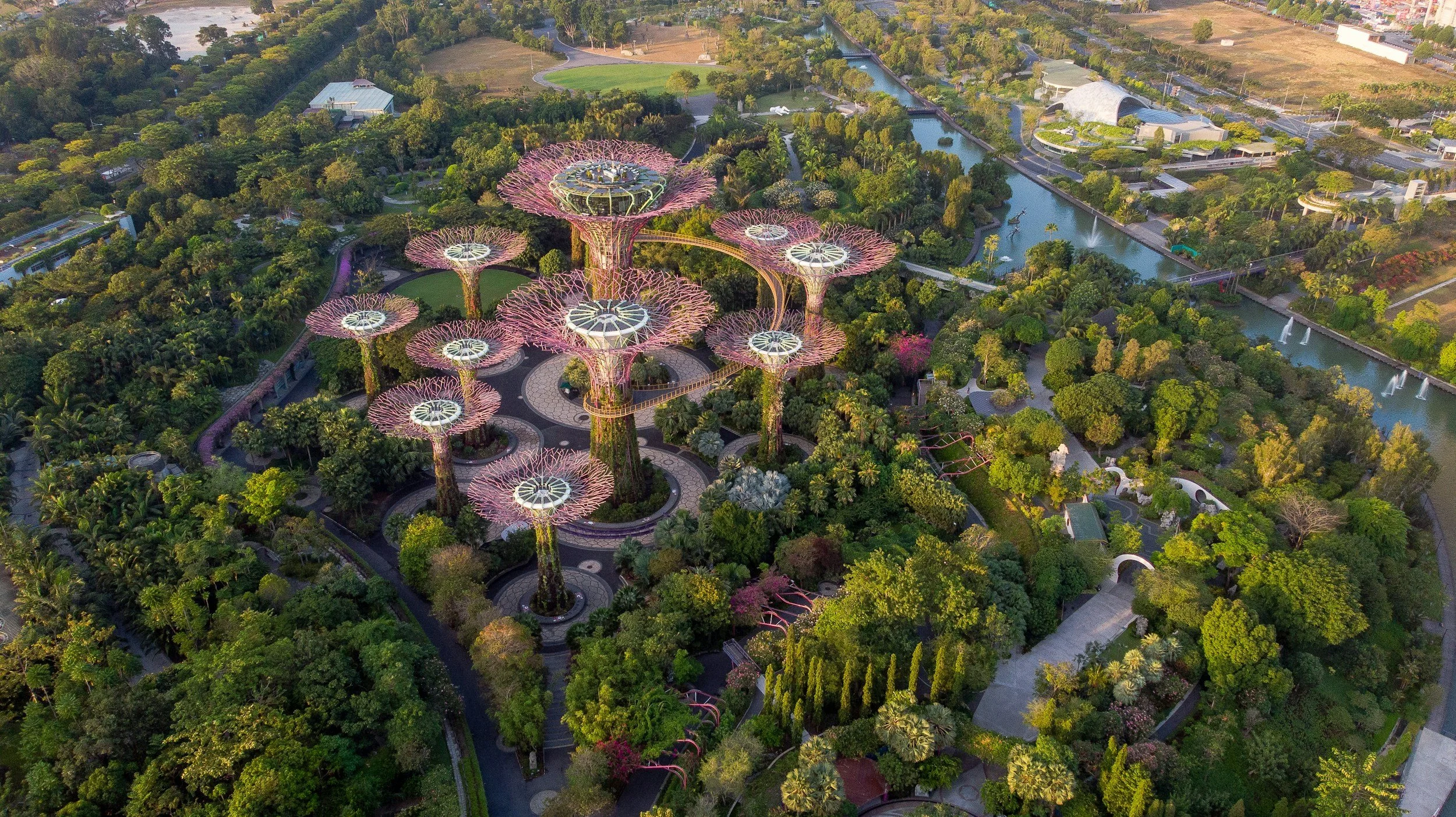 Vue aérienne des jardins futuristes de Gardens by the Bay à Singapour, avec le célèbre Supertree Grove, structures en forme d'arbres d'environ 25 à 50 mètres de haut, entourées de jardins luxuriants et de chemins piétons.