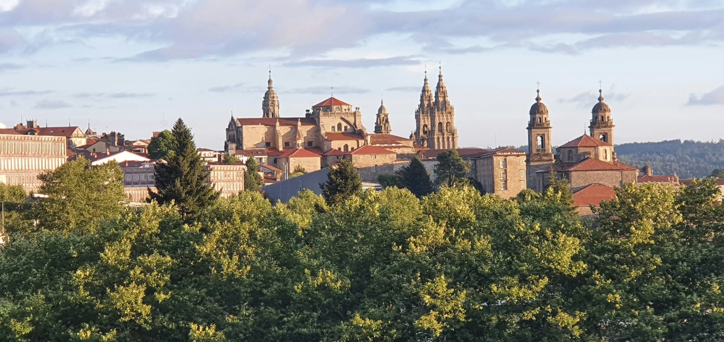 Vue panoramique d'une ville historique avec des bâtiments en pierre et des églises avec des clochers, entourés de nombreux arbres verts.