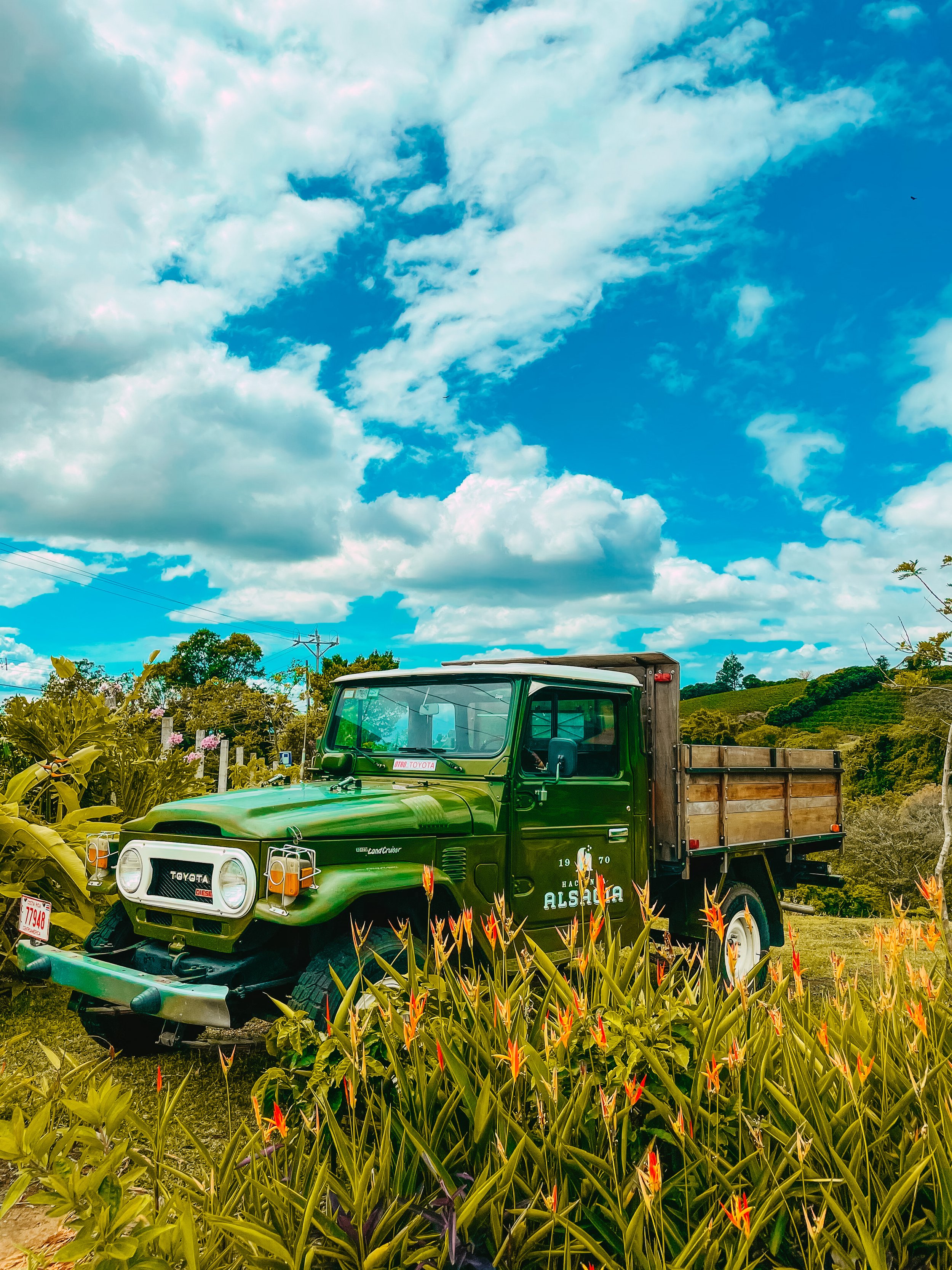 Voiture verte de type Oldtimer Toyota Land Cruiser garée dans un champ avec des plantes et un ciel bleu avec des nuages blancs.
