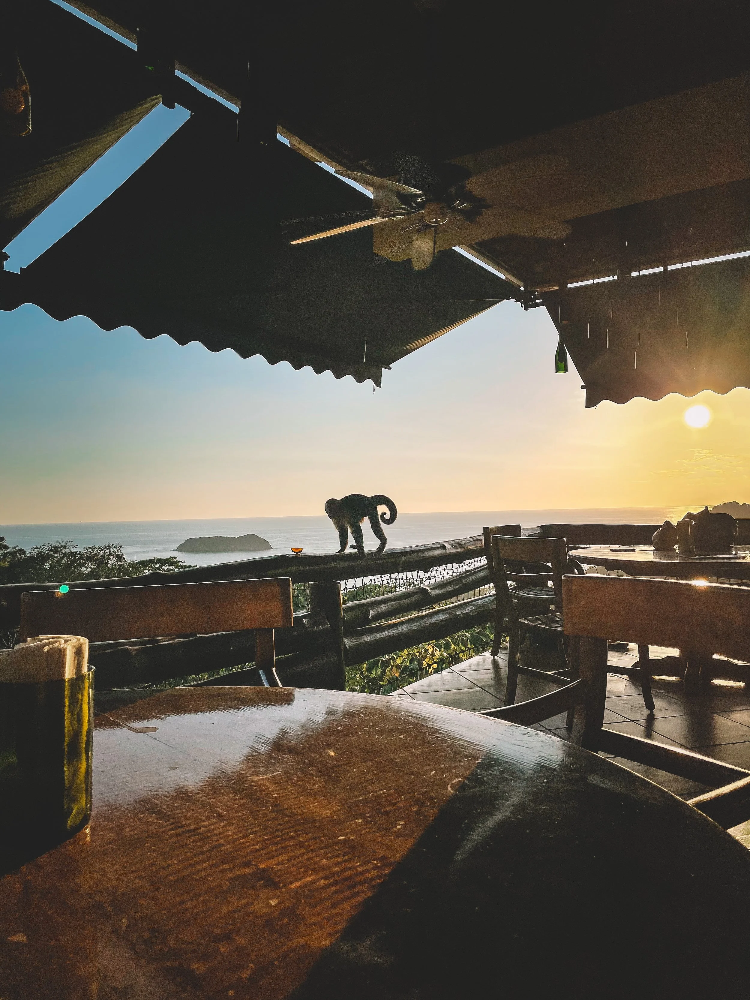 Une vue depuis une terrasse avec un petit singe debout sur la barrière, regardant l'océan au coucher du soleil. Des tables en bois et un plafond avec un ventilateur sont visibles.