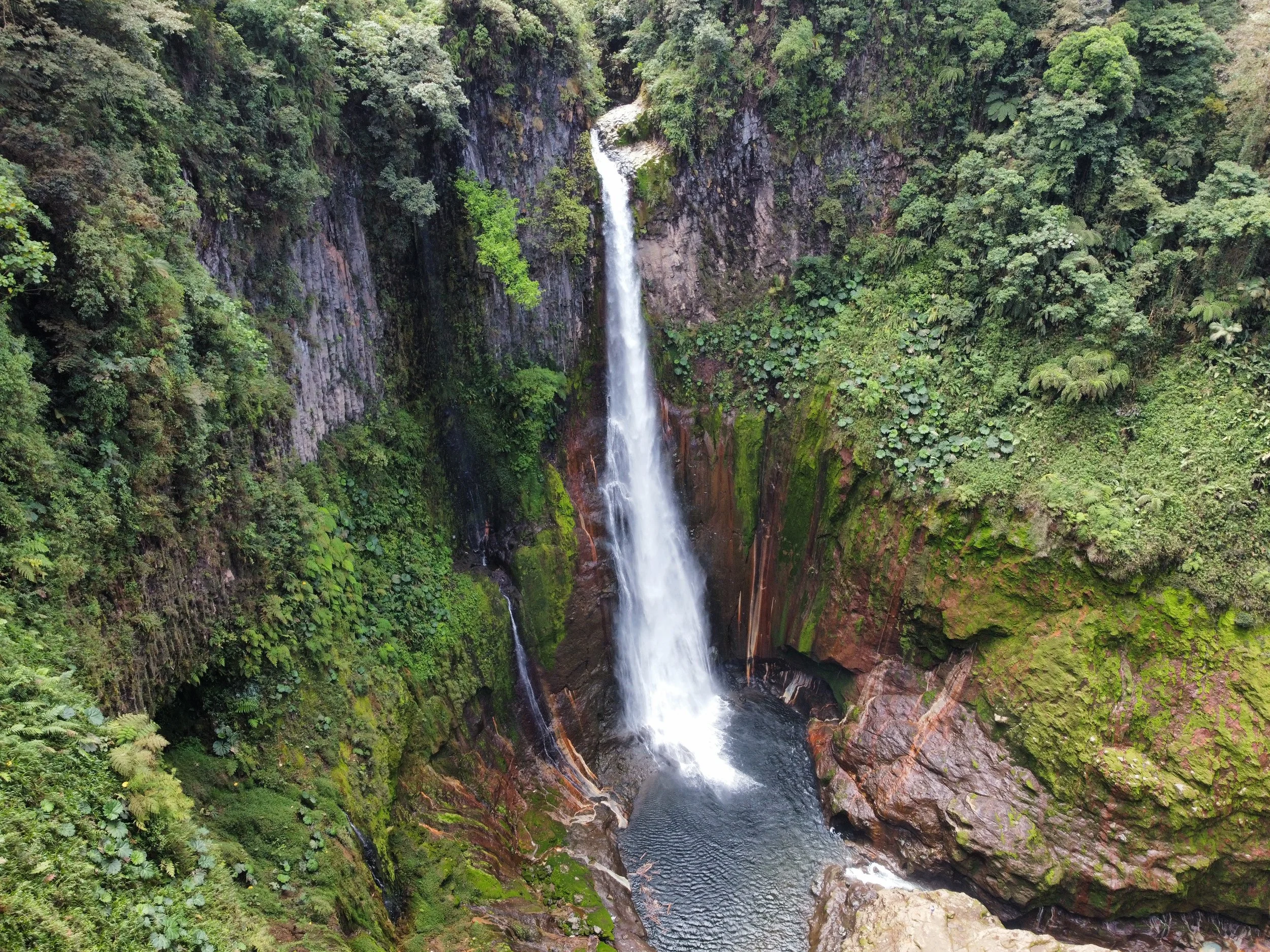 Cascade d'eau tombant dans une gorge entourée de végétation luxuriante