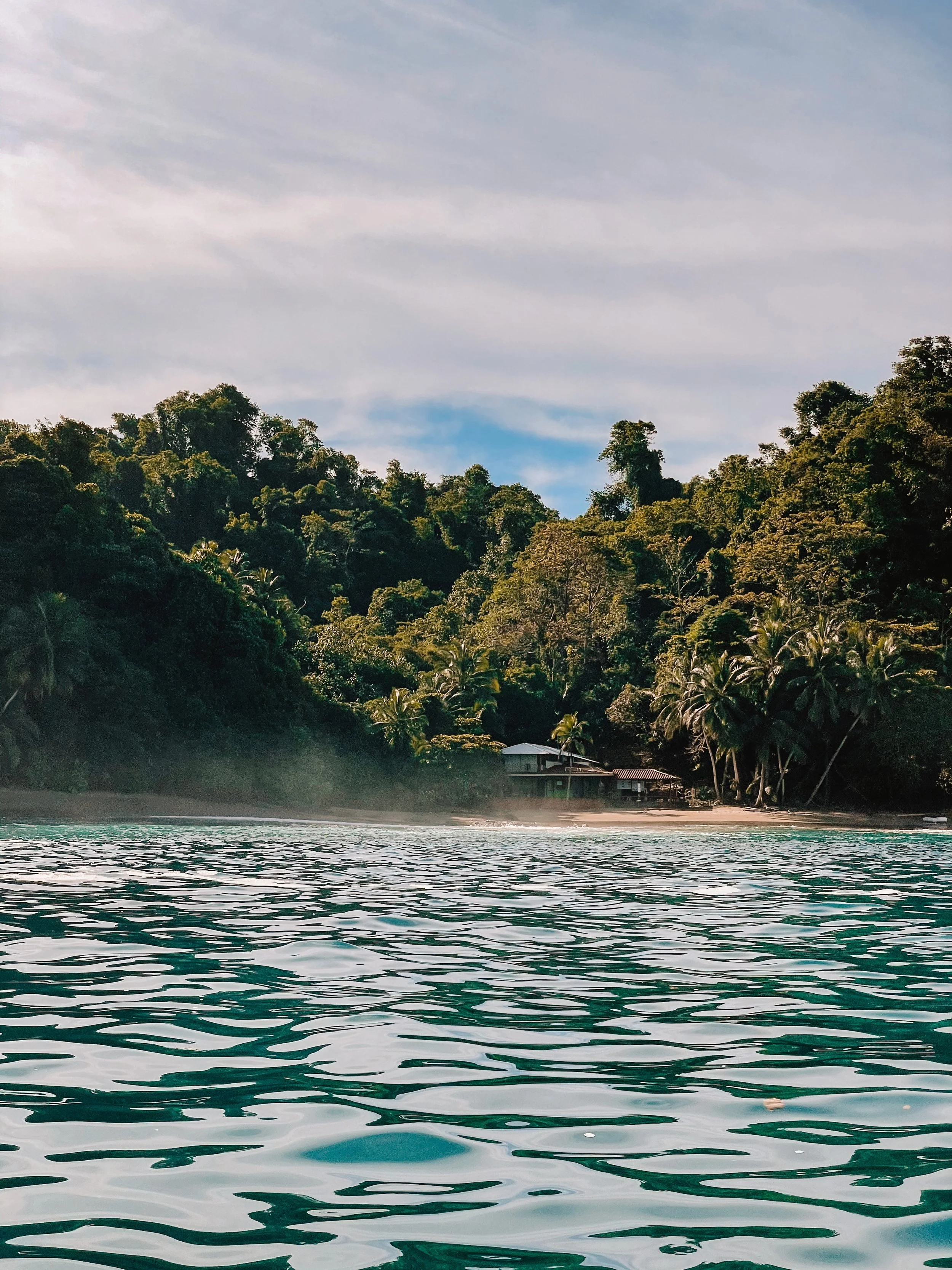 Plage bordée de végétation dense, avec quelques maisons en arrière-plan et une mer calme.