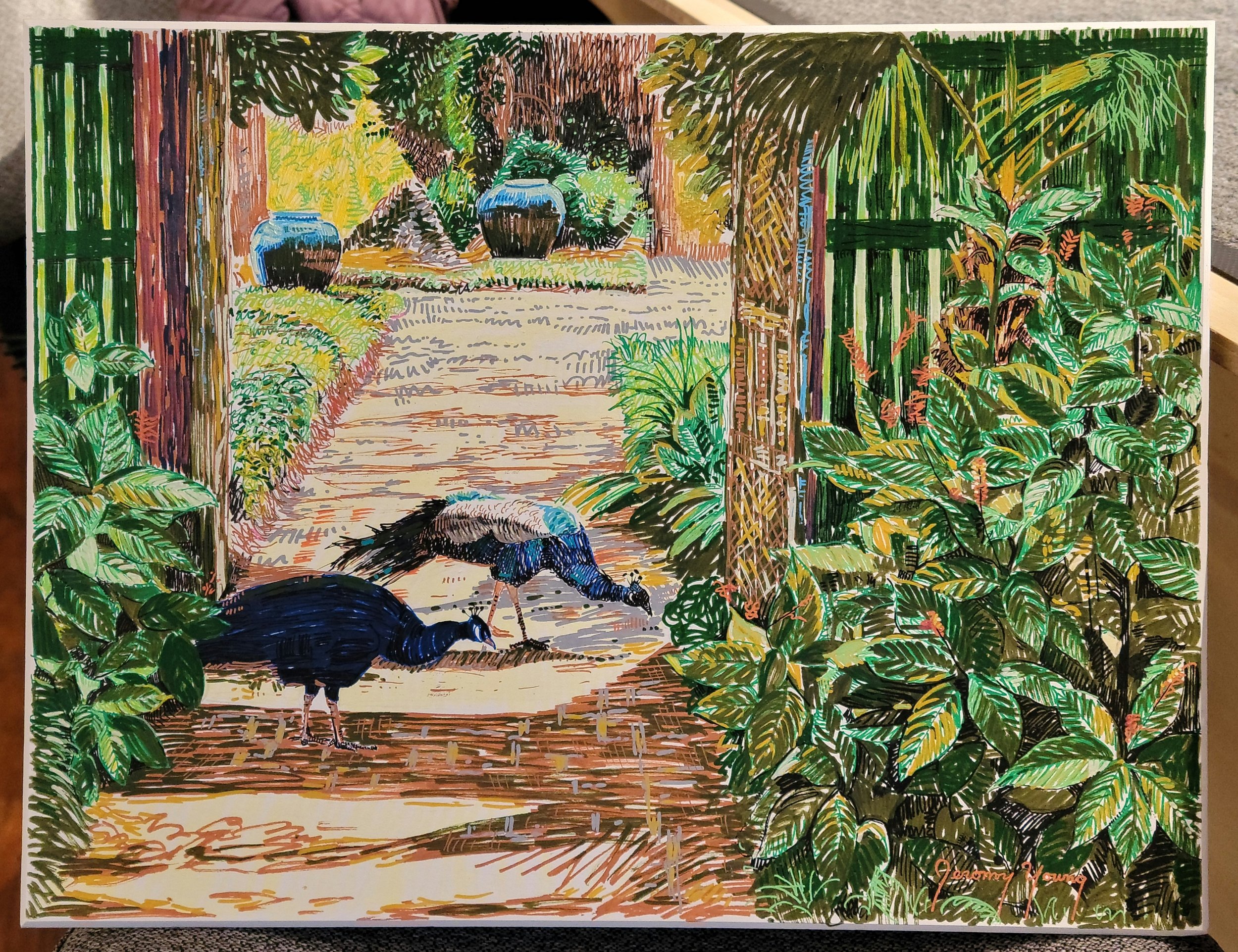 Rip Van Winkle Stars