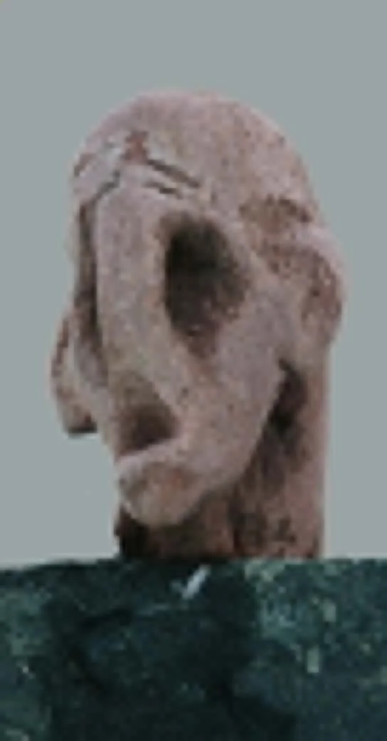 46.JPG