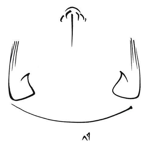a2 - Copy.jpg