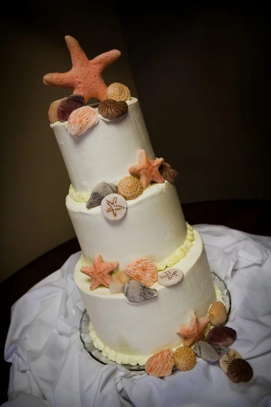 Wedding Cake Three Smooth Buttercream Frosted Stacked Tiers Set to Back Alignment to provide Larger Cake Top for Arrangement of Edible Sugar Porcelain Sugar Dusted Seashells and Starfish