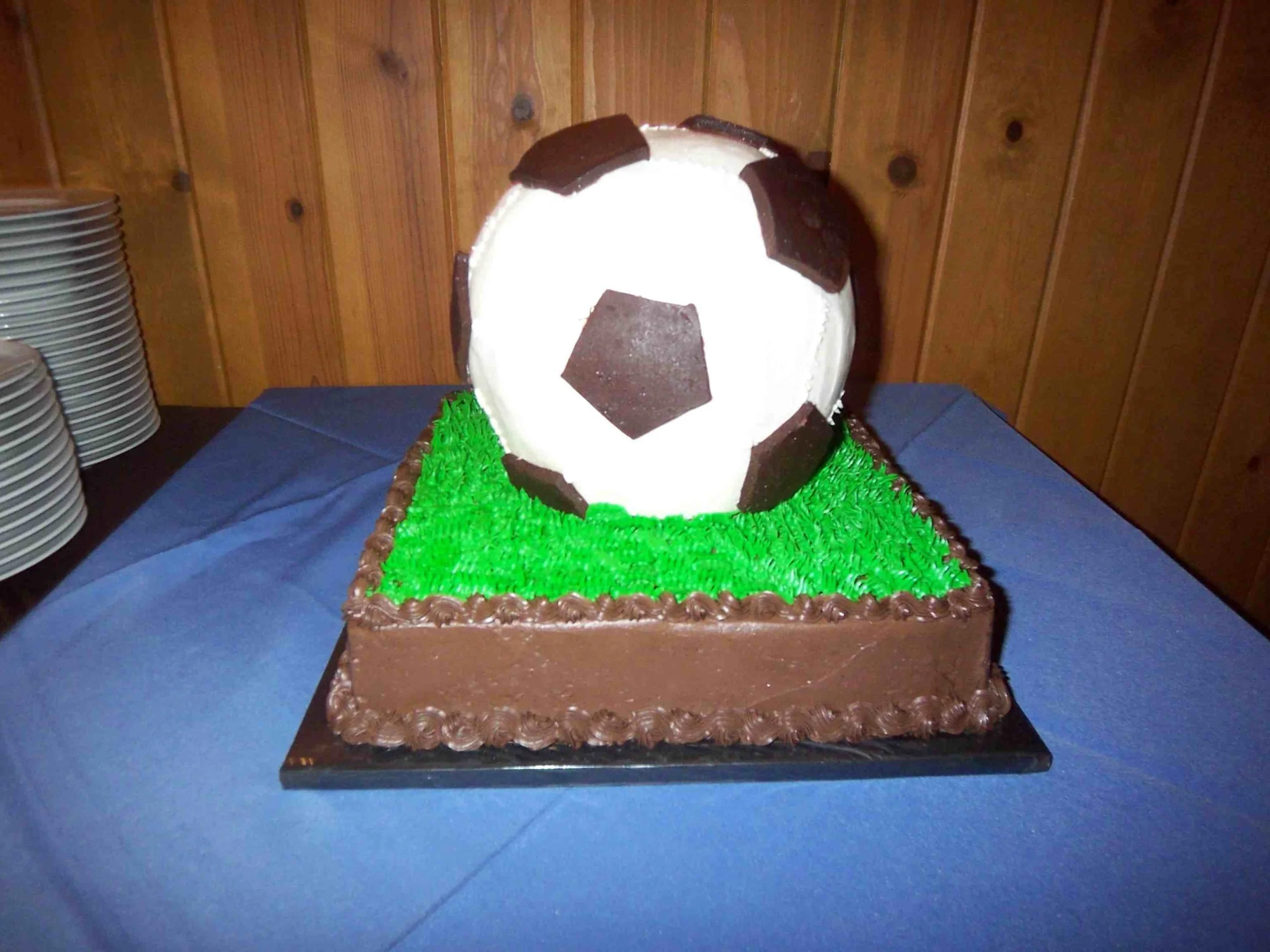 Chocolate and Buttercream Soccer Ball Grooms Cake Chocolate Frosted Cake with Piped Grass