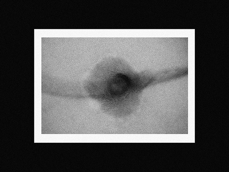 Black and white grainy image of a ceiling fan in motion.