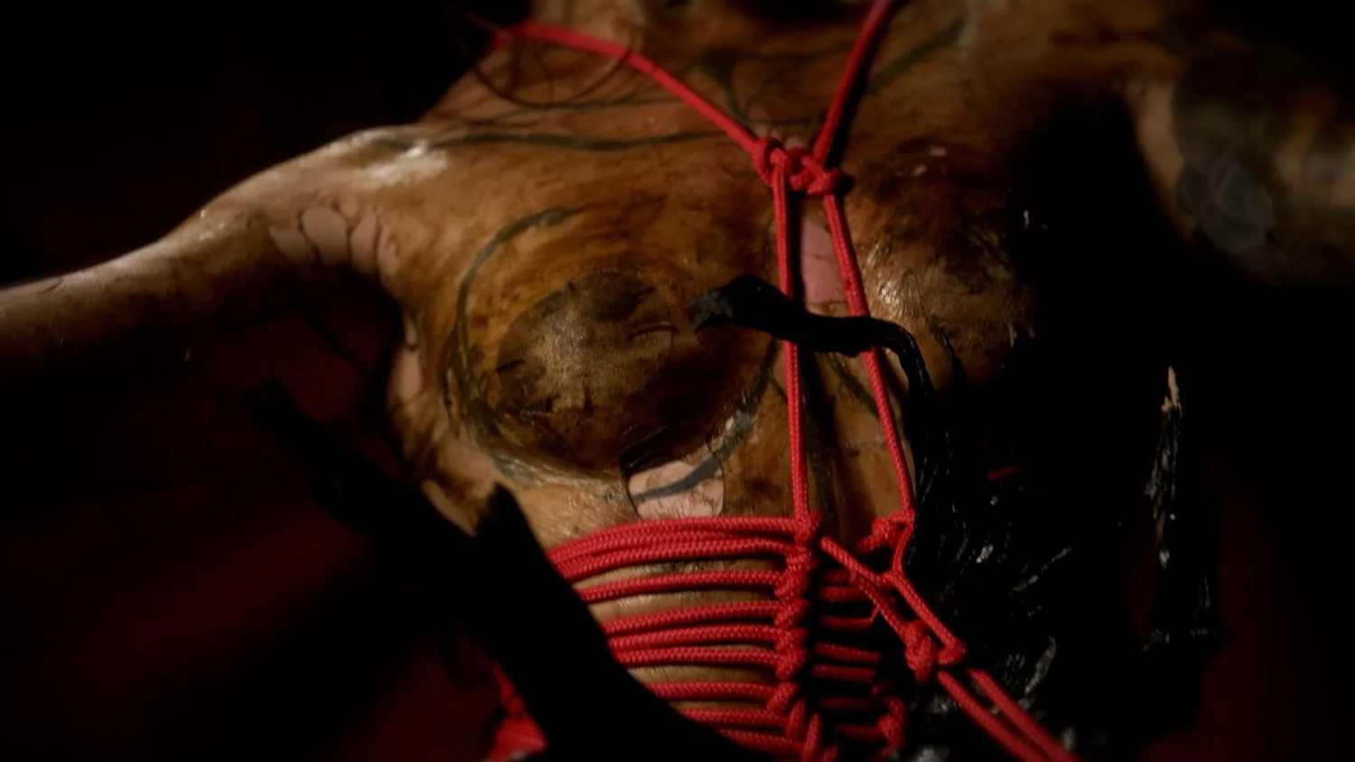 Symbiogenesis — Fungi Shibari performance, mycelial bodies — shibari performance by MAVRA (Luiza Jesus do Prado), photo 7