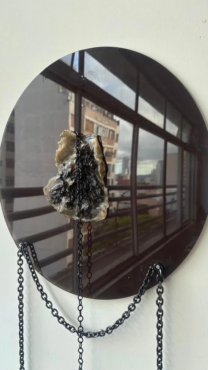 WhatsApp Image 2026-02-11 at 14.04.48 (5).jpeg