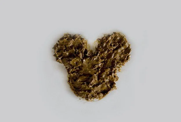 A piece of brown, textured material resembling a mouse or bear-shaped object on a plain white background.