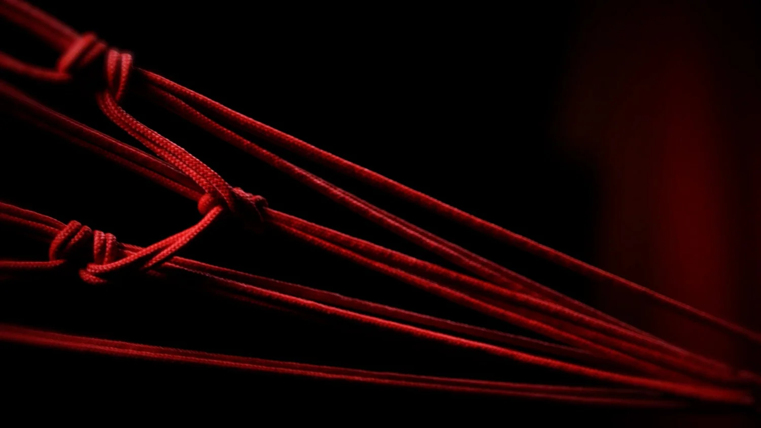 Symbiogenesis — Fungi Shibari performance, mycelial bodies — shibari performance by MAVRA (Luiza Jesus do Prado), photo 22