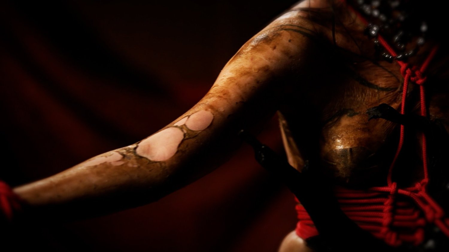 Symbiogenesis — Fungi Shibari performance, mycelial bodies — shibari performance by MAVRA (Luiza Jesus do Prado), photo 25