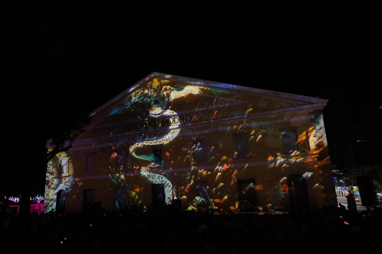 Night scene of a historical building with a projection of colorful underwater coral reef and marine life on its facade.