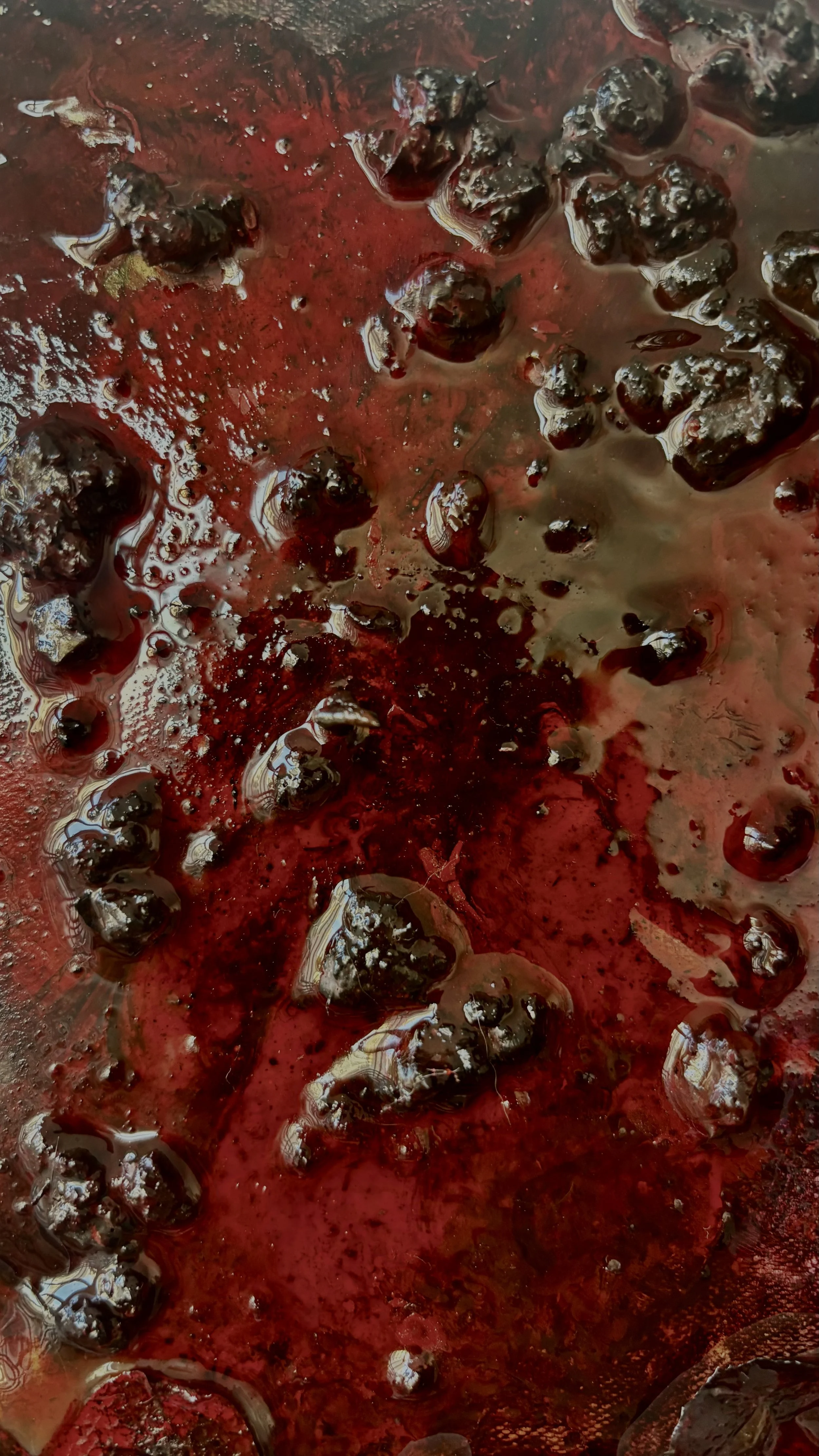 Close-up of blackberries submerged in a red liquid, possibly juice or syrup.